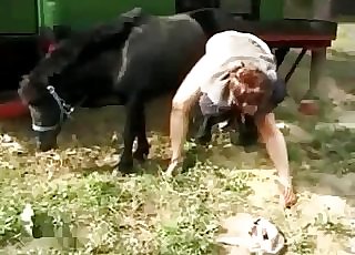 Jaw-dropping black pony fucking her wet cunt
