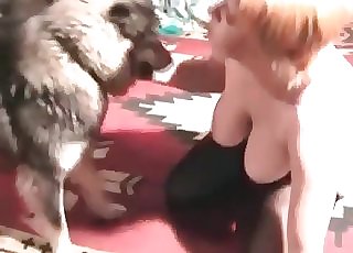 Perfect trained dog in stunning zoophilia