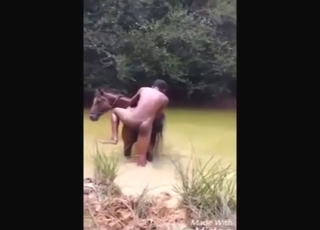 Mare getting fucked in the river, it's a hot one
