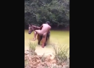Mare getting fucked in the river, it's a hot one