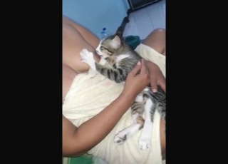 Breastfeeding session with a kitty getting off