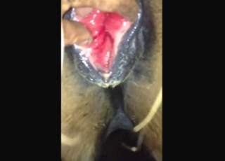 Mare is going to get fisted properly, up close