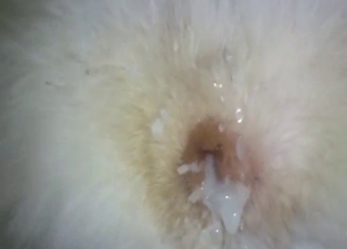 Husky cunt is going to get covered in fresh spunk