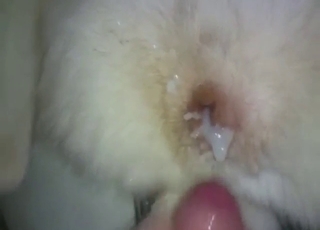 Husky cunt is going to get covered in fresh spunk