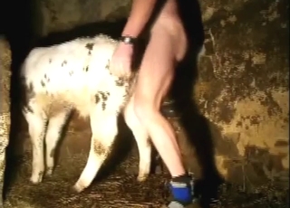 Guy points his dick inside a sexed-up beast