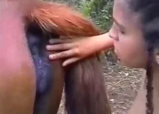 Mare vagina gets tongue-pleased in this one