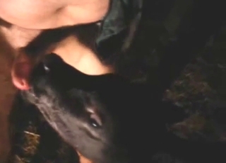 Calf blowjob scene with a fatso who fucks