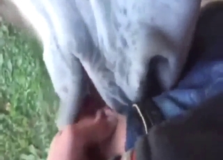 Sexy animal is happy to tongue his penis