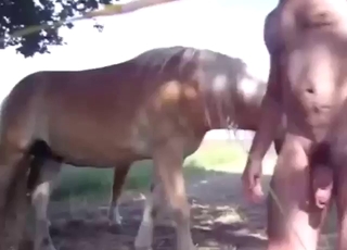 Horse is going to suck a guy's stiffie outside