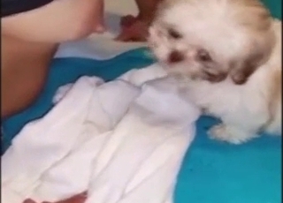 Lady shows her nice breasts to get the dog off