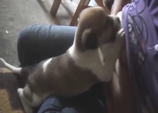 Breastfeeding her pet to make it dependent