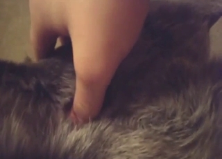 Fingering that animal's asshole just for fun