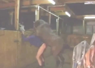 Hard fuck with a sexy booty bounce and moans