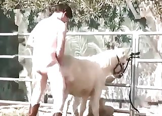 Stallion gets its ass fingered