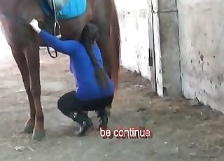 The star of this video is a horse that poops in the barn
