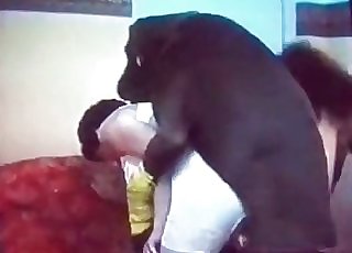 Classic zoophilia action with a insatiable Doberman