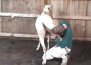 Preparing this white pony for sex