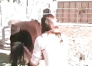 Wooly zoophile pummels with a pony