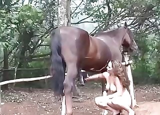Sweet busty chick is playing with a pony