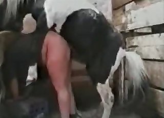 Farmer fucked by a huge stallion