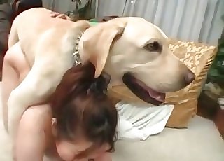 Super-naughty zoophilia action for a woman and a horny doggo