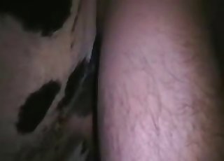 Sweaty close-ups showing zoophilia