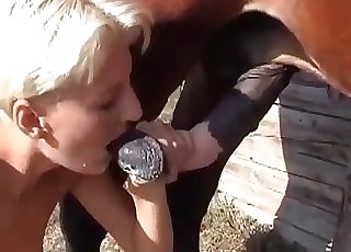 Horse adores oral intercourse