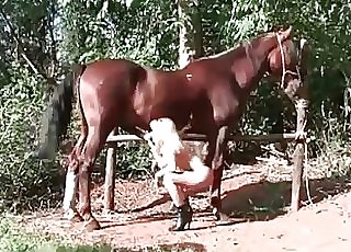 Long legged blonde fucks with a horse