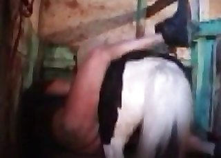This cow gets her pussy totally stuffed in this bestiality vid