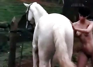 The main star of this amazing animal sex vid is a milky horse