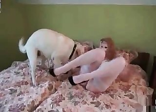 Messy bride is having bestiality sex with a puppy