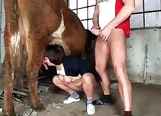 Farm animal bestiality pornography session with my wife