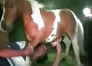 Amateur bestiality fun in this amazingly hot video