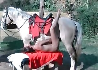 Leggy babe takes horse's huge fuckpole