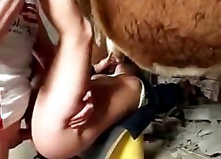 Stallion and a lustful zoophile cockslut