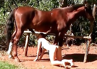 Zoophile deepthroating mare’s brown cock