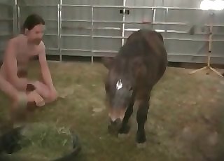 Small pony ripped up in the ass