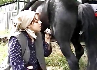Puny black horse sucked by farm zoofil