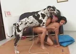Dalmatian fucks with two slender ladies