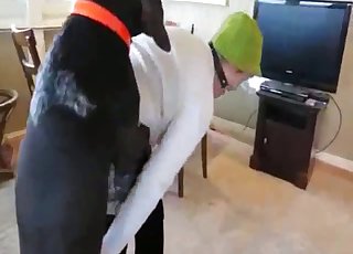 Submissive jockey is sucking a pretty big dog cock