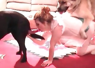 Redhead fucking two sexed-up dogs