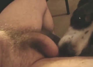 Animal wants to suck that boner big time too