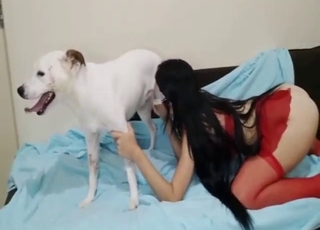 White dog has a great cock she loves sucking