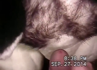 Real bestiality sex can feature sexy animals